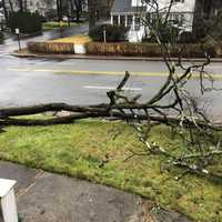Widespread Flooding, Downed Poles Close NJ, PA Roads