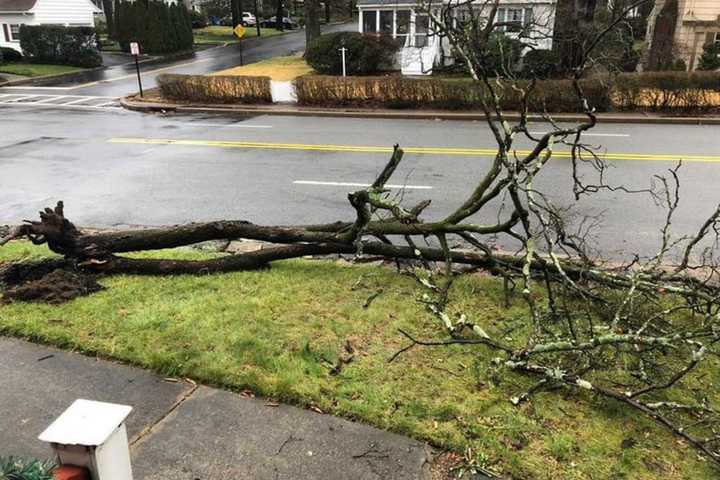 Widespread Flooding, Downed Poles Close NJ, PA Roads