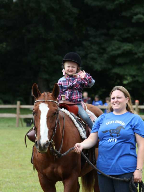 Peekskill Horse Show Celebrating 46 Years Of Entertaining Equine Lovers