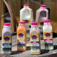 Longtime Dairy Bar Brings New Retail Space To Popular Central PA Farm
