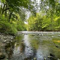 Victim ID'd Following Drowning Call At Capital Region Creek
