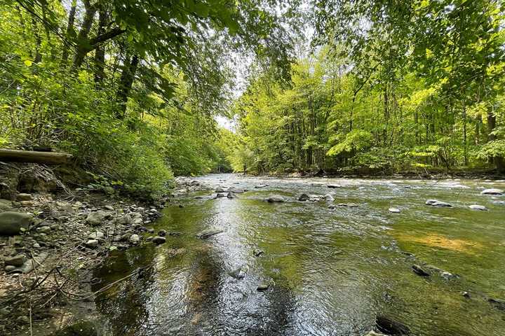 Victim ID'd Following Drowning Call At Creek In Region