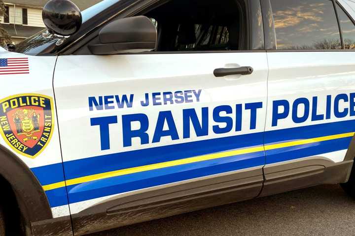 Man Struck, Killed By Train In Paterson