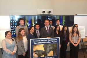 Pace Students Move Their Bill To Ban Elephants In NY Entertainment