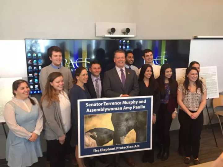 The state legislature passed a law banning elephants in entertainment that was proposed by Pace students.