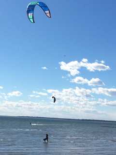 This Is March? Kitesurfers, Birdwatchers Take To The Beach In Stratford