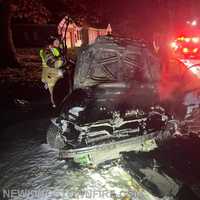 <p>The burned-out car and the deer it struck lying in the road behind it as fire crews remained on the scene.&nbsp;</p>