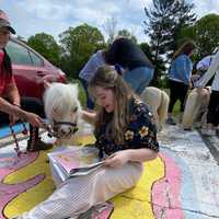 <p>Stewie Vuitton participates in the &#x27;Reading to a Mini&#x27; program at Stoneham High School</p>