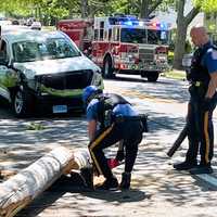 <p>The cross-trained members of Paramus Police Emergency Services Unit grabbed their chainsaws and got to work following the crash on Oradell Avenue on Thursday, May 25.</p>