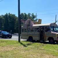 <p>Among the questions this begs: Who would ride on the roof of a bus when the sun is highest in the sky during a scorcher of a heat wave?</p>