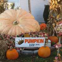 Harrison Home Best Known For Christmas Decor All Decked Out For Halloween