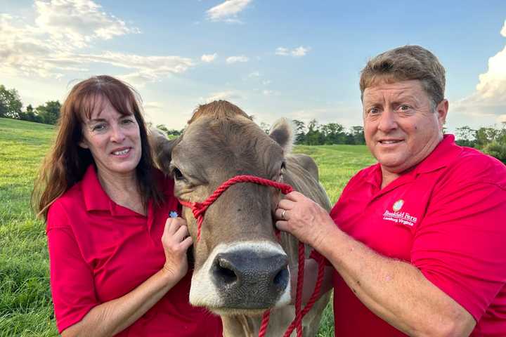 Loudoun County Dairy Farmers Roll Out Ice Cream Trailer: Here's Where To Catch It