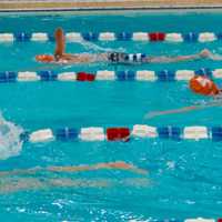 <p>Swimmers at the Stamford Family YMCA.</p>