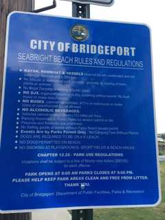 Is Fido On A 'Leach?' New Signs Draw Ire, Giggles From Bridgeport Residents