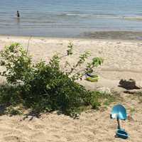 <p>It is a picture-perfect day at Greenwich Point Park.</p>