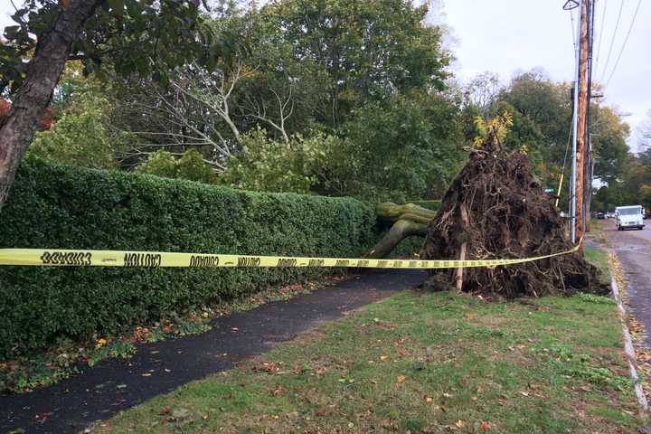 Power Restoration, Tree Cleanup Underway After Nor'easter Slams Fairfield