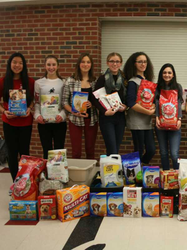 Sleepy Hollow High Club Collects For Local Pet Food Pantry