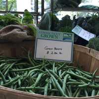 <p>Connecticut-grown veggies were available for sale at the Stamford Government Center Tuesday. The market continues every Tuesday until October 25.</p>