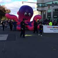 <p>The Stamford Downtown Parade Spectacular welcomed Ozzy the Octopus to the route Sunday.</p>