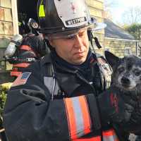 <p>Westport firefighters rescue a dog from a blaze at a home on Cross Highway on Monday morning.</p>