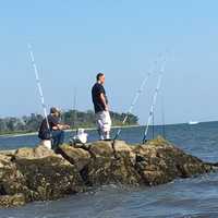 <p>Silver Sands State Park in Milford.</p>