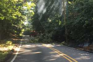 Broken Branch Ignites Wires In Washington Township