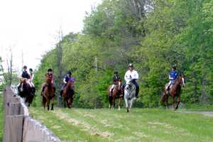 Hunter Pace Draws Crowd To Rombout Foxhounds In Hyde Park