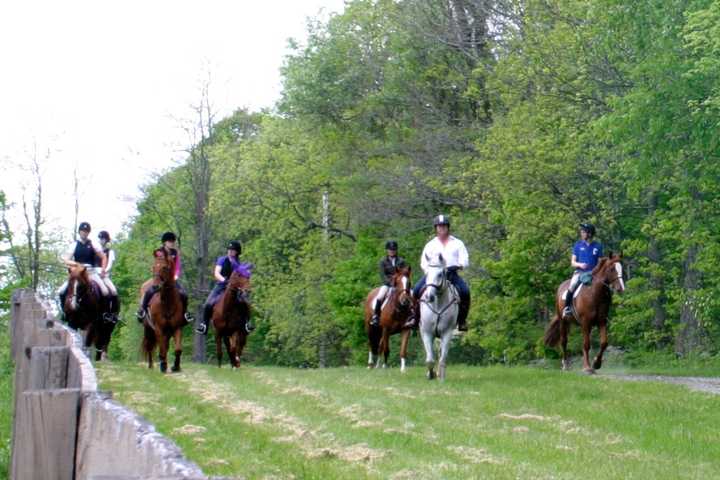 Hunter Pace Draws Crowd To Rombout Foxhounds In Hyde Park