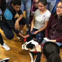 <p>Allie has cancer and was rescued six years ago. Another puppy bit her nose, so they call it a &quot;blow hole.&quot;</p>