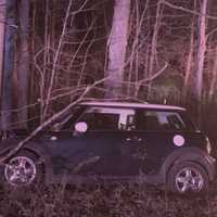Man Arrested For Aggravated DWI After Crashing Into Tree In Area