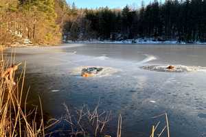 Man Rescues Two Dogs From Frigid Reservoir In Area