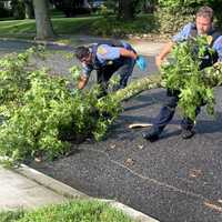 <p>Two Ridgewood police officers moved the limb after making sure that the couple was OK.</p>