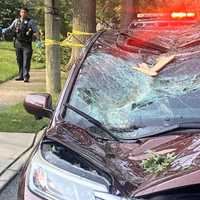 <p>A couple escaped injury when a tree limb fell on their vehicle in Ridgewood.</p>