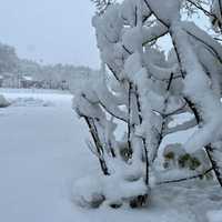 Here's Who Got The Most Snow In Maryland, Virginia