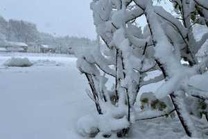 6+ Inches Of Snow In Metuchen During Winter Storm