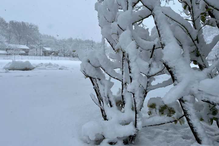 Here's Who Got The Most Snow In Maryland, Virginia