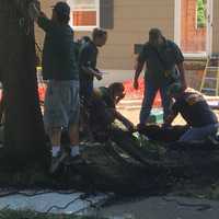 <p>Bergen County Animal Control and Paramus police officers caught 119-pound bear cub in a net.</p>