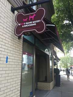 Going To The Dogs: New Pet Shop Gears Up For Fall Opening In Rye