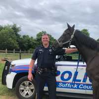 Horse Rescued After Wandering Onto Sunrise Highway, Police Say