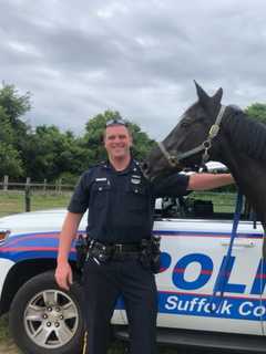 Horse Rescued After Wandering Onto Sunrise Highway, Police Say