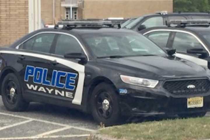 Wayne Police Nab Teen Duo In Pizzeria Burglary