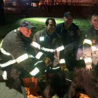 New Photos: 'Dan Berry' Bear Goes From Main Street To Firehouse