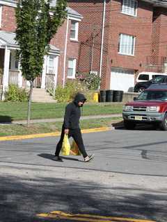 Several Palisades Park Roads Now Go Only One Way