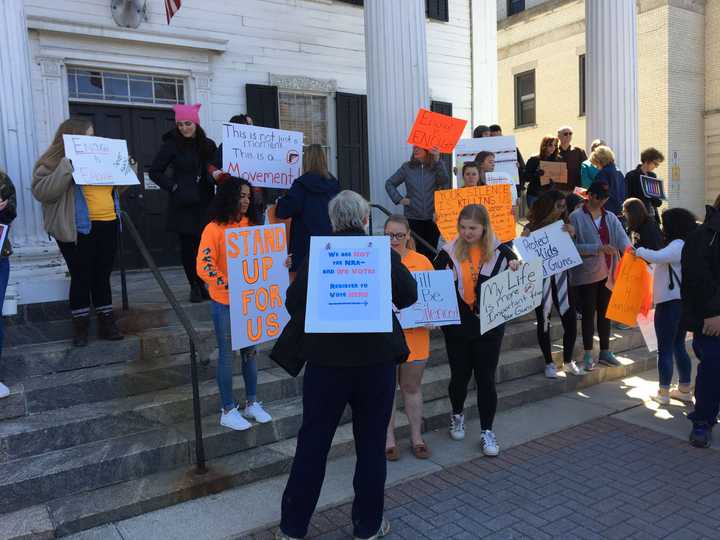 Students and alumni from several area schools led a rally against gun violence held for two hours Saturday at the old Putnam County Courthouse in Carmel.