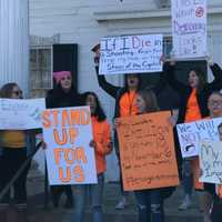 <p>Students and alumni from several area schools led a rally against gun violence held for two hours Saturday at the old Putnam County Courthouse in Carmel.</p>