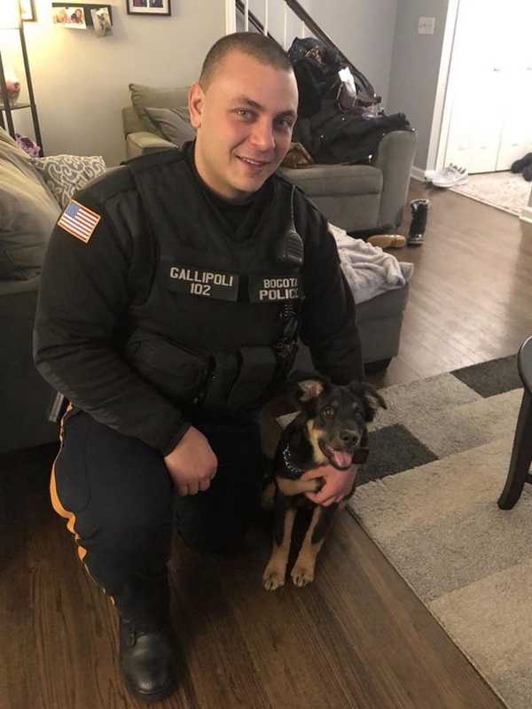 First ResPAWnders: How Bogota Patrolman Found His 'True Companion'