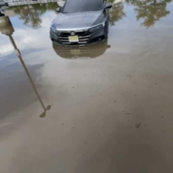 Michael Torto&#x27;s submerged Honda Accord