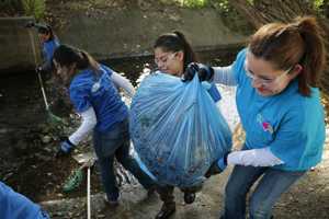 Passaic Volunteers Get Dirty To Clean Up Ridgefield Creek