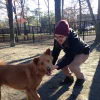 <p>Tyler and his rescue, Shuggie.</p>