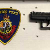 <p>The gun recovered.</p>